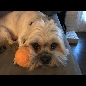 Meet your Posher, Jamie